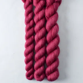 Aubergine Partial Skeins - Katahdin