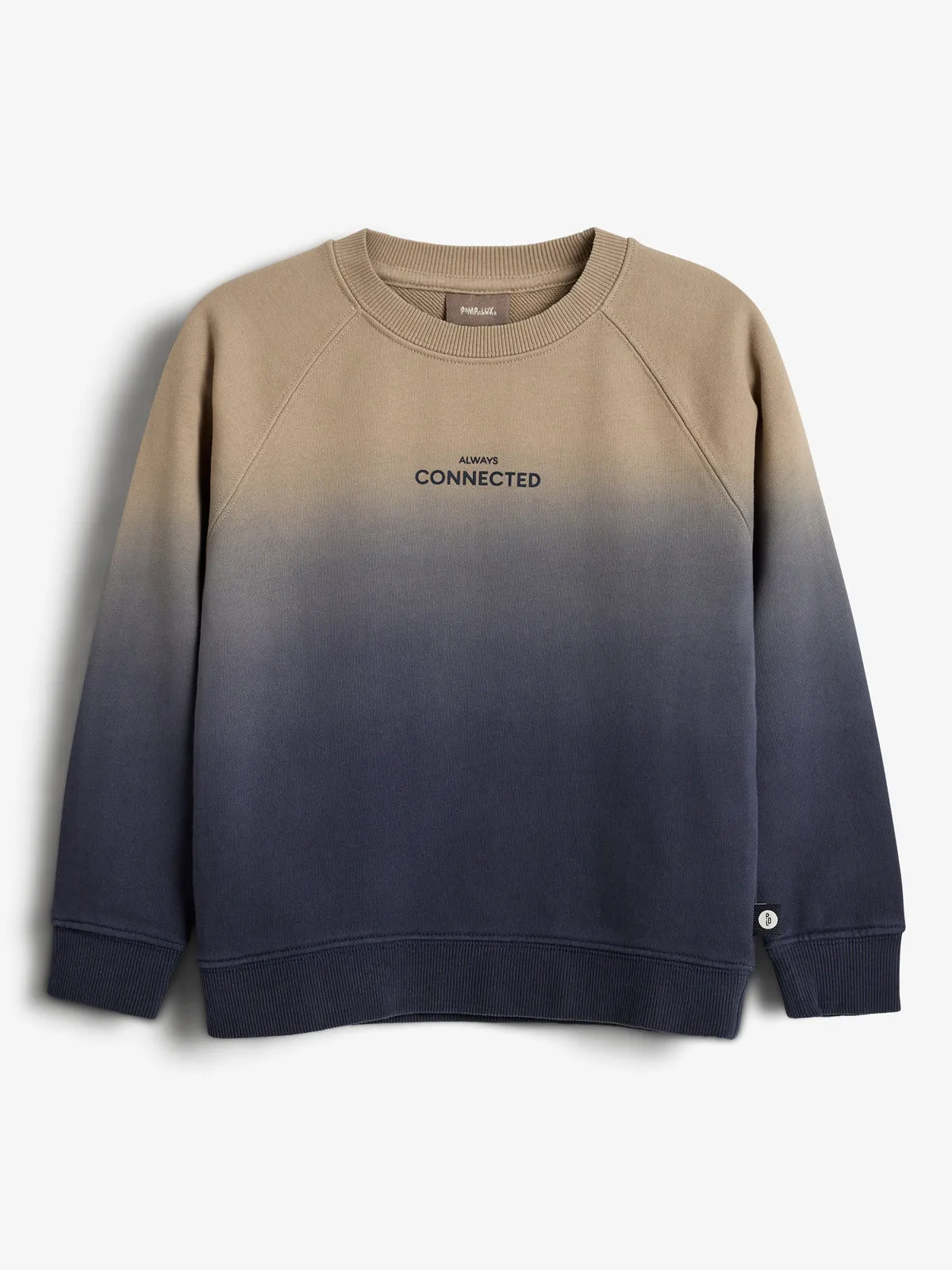 Dip-dye Sweatshirt - Kids - Blue