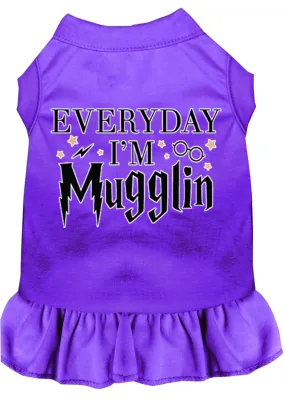 Everyday I'm Mugglin Screen Print Dog Dress Purple Xxxl (20)