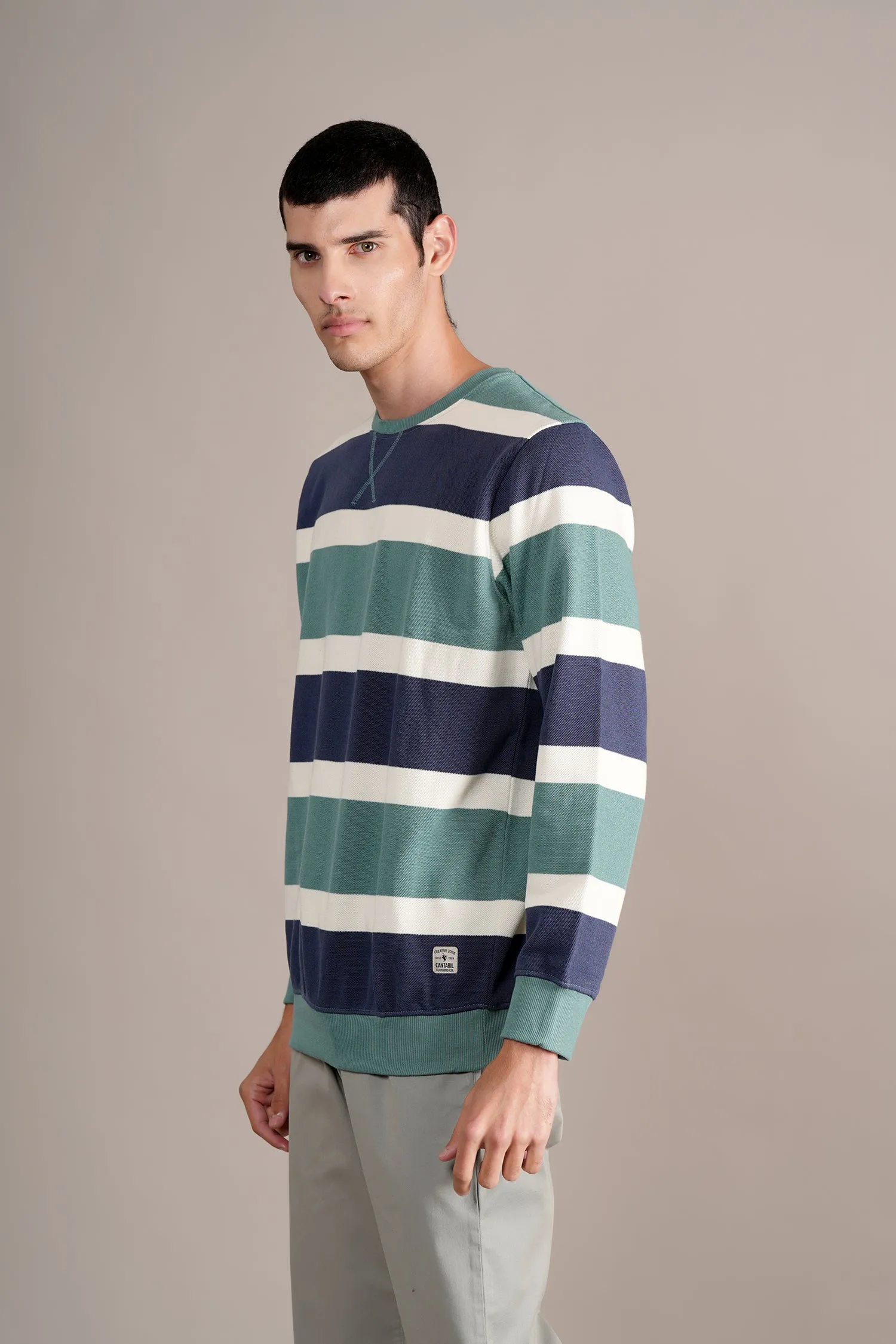 Men's Green Colorblock Full Sleeves Round Neck T-shirt